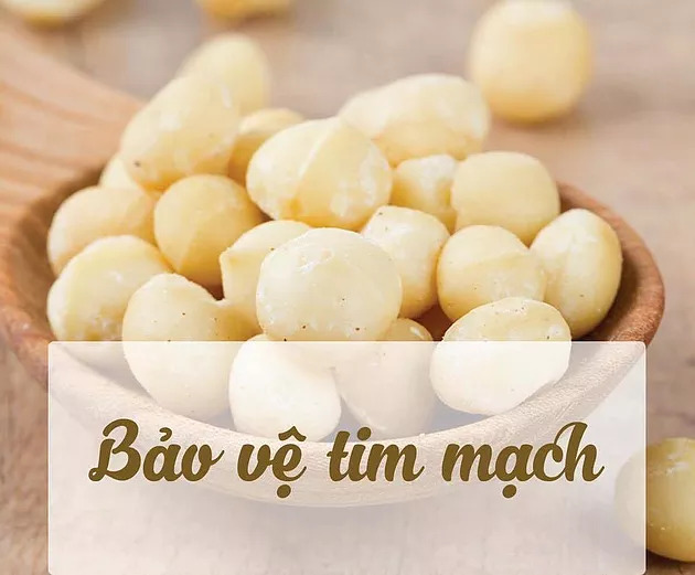 Hạt macca với khả năng phòng tránh nguy cơ mắc các bệnh lý tim mạch