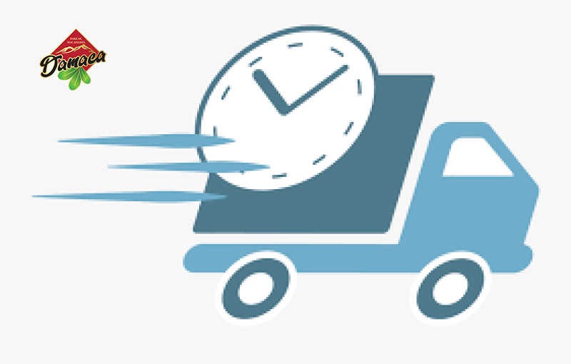 Chính sách vận chuyển & giao nhận hàng hóa