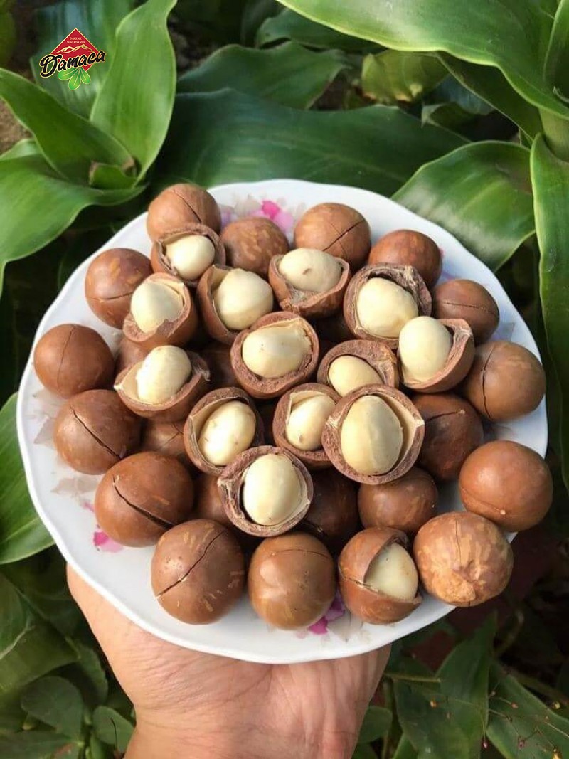 Recipes using macadamia nuts, how to process and preserve macca nuts